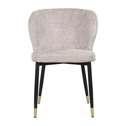 Niaj hnub Concise Style Chair